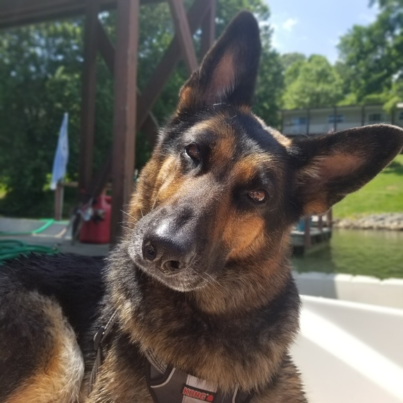 Hey!♡ Im Cat !! - Picture 7 of 16